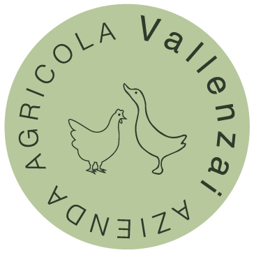 Logo Azienda Agricola Vallenzai